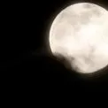 Повня 1 лютого відкриє вікно можливостей: удача посміхнеться п'ятірці знаків Зодіаку