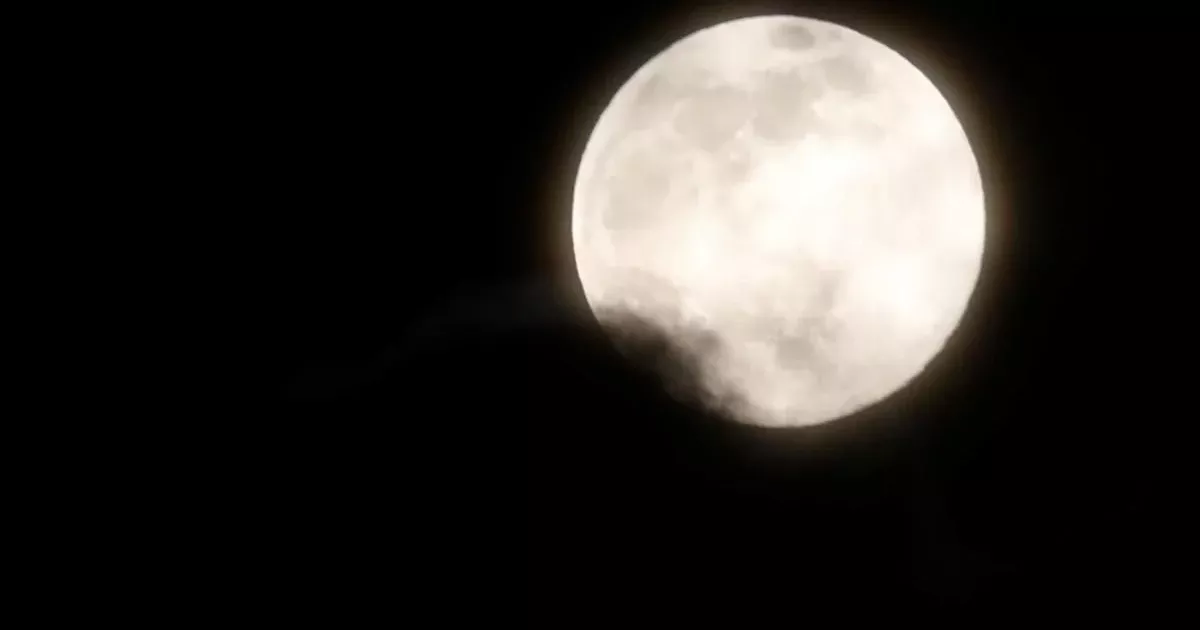 Повня 1 лютого відкриє вікно можливостей: удача посміхнеться п'ятірці знаків Зодіаку