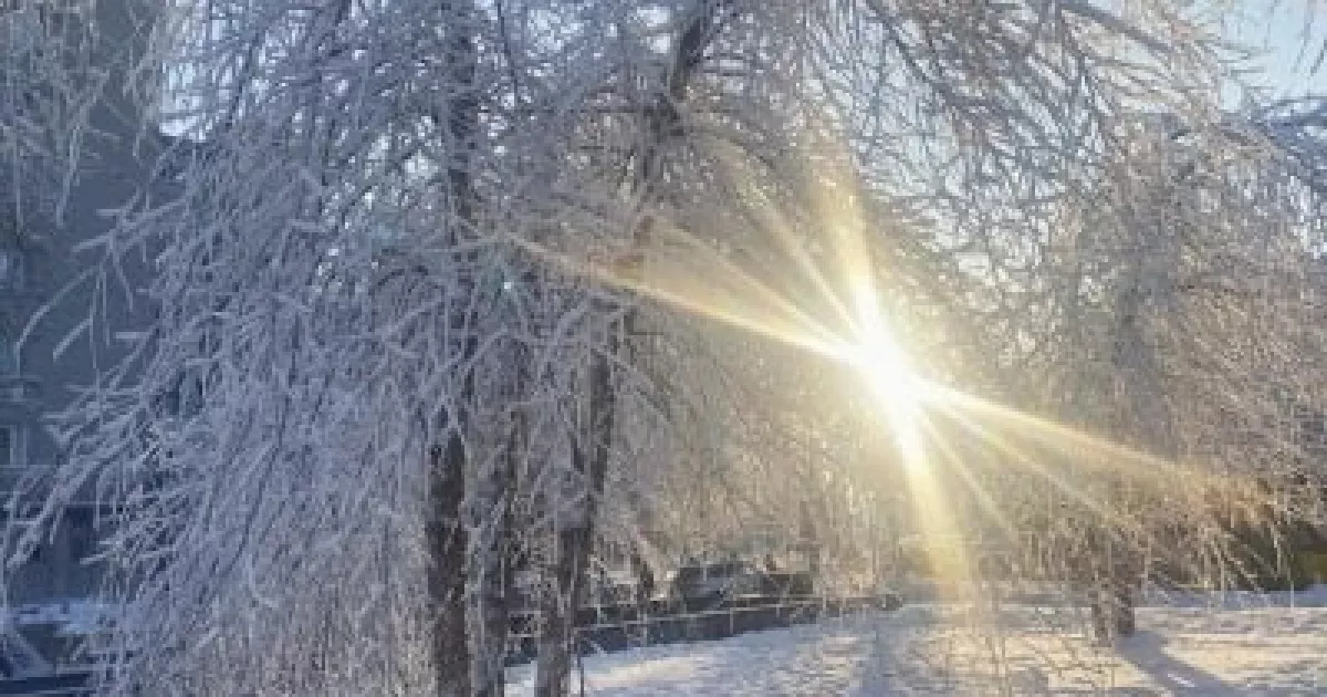 Морози до -27 та ожеледиця: синоптики попередили, де погода 4 лютого буде небезпечна