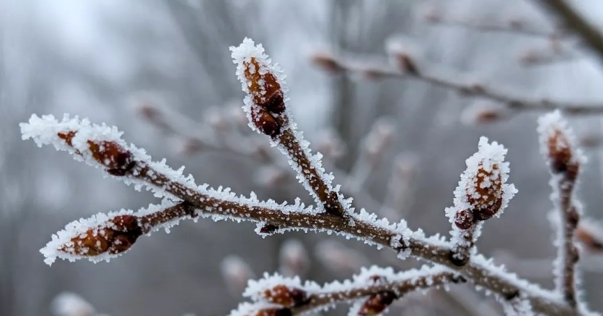 Погода в Україні різко зміниться: прогноз на 7-8 лютого