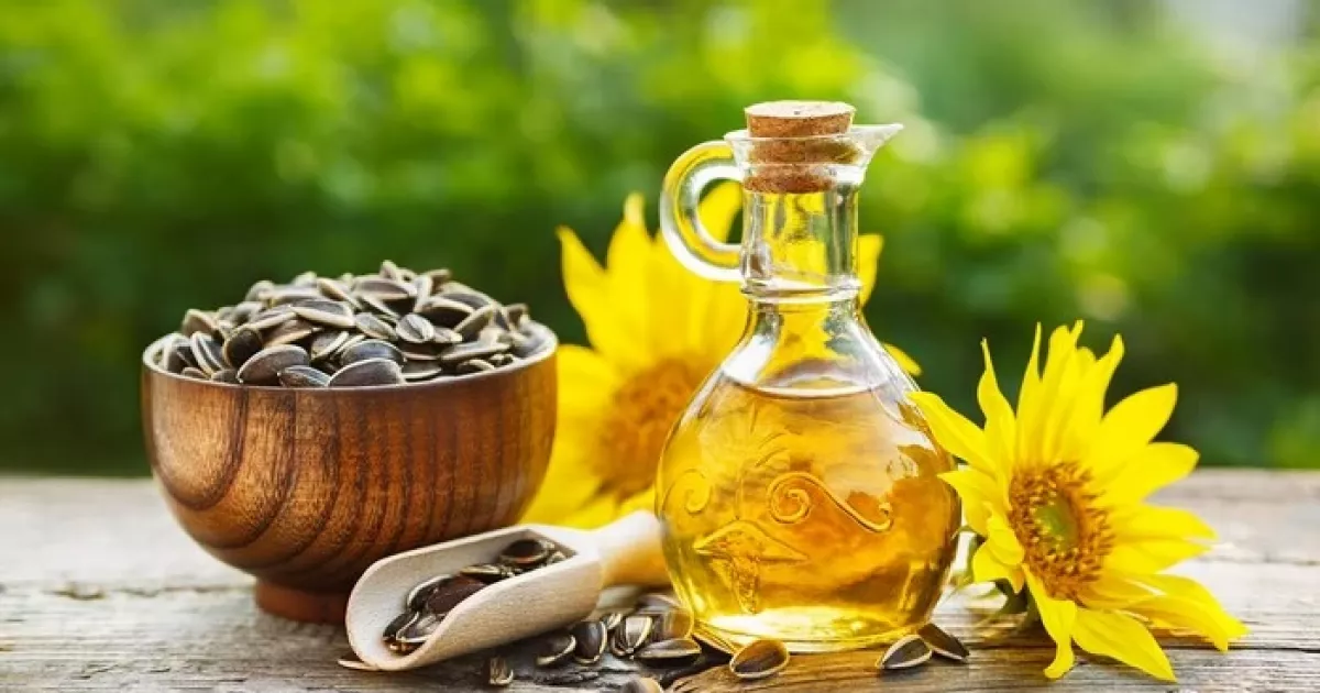 Україна різко скоротила виробництво соняшникової олії: чи вистачить громадянам та які будуть ціни