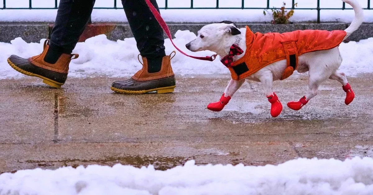 До України суне циклон з Балкан: синоптикиня попередила про небезпеку