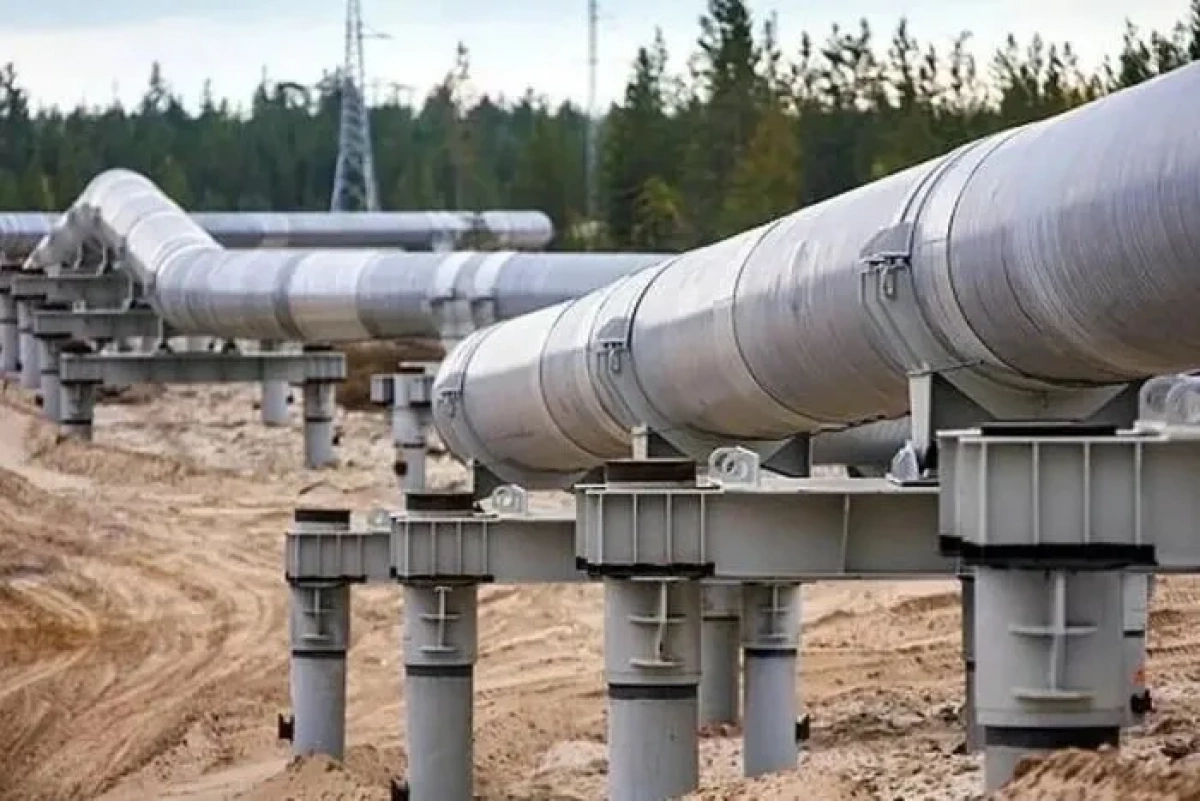 ЗМІ дізнались, коли через відновлену «Дружбу» почнуть транспортувати нафту — ексклюзив