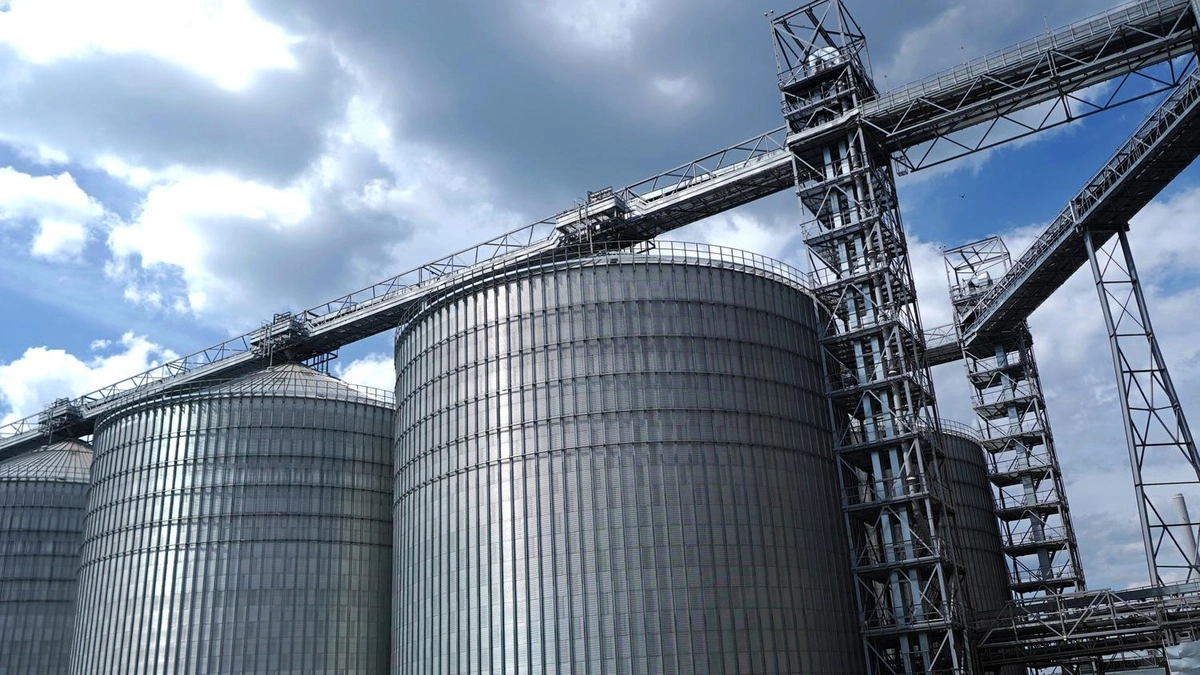 Kernel наростив урожайність пшениці, соняшнику й ріпаку: кукурудза просіла на 13%
