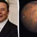 Підкорення Марса відміняється? Маск назвав нову глобальну ціль на найближчі 10 років