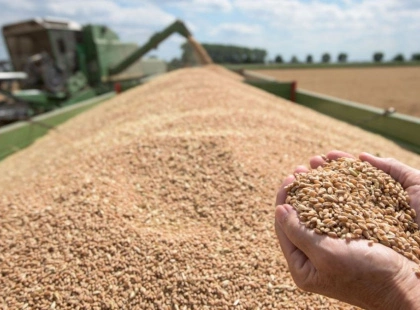 Україна без ГМО: які нові заборони та правила запрацюють для аграріїв у 2026 році