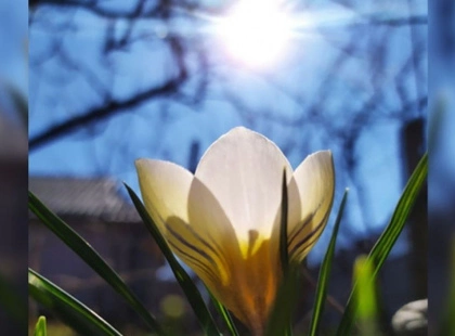 Не пропустіть момент: точна дата весняного рівнодення та початку астрономічної весни 2026 року