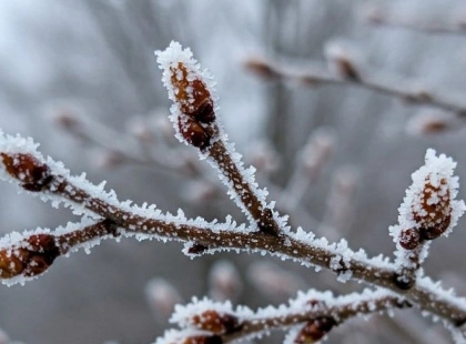 Погода в Україні різко зміниться: прогноз на 7-8 лютого