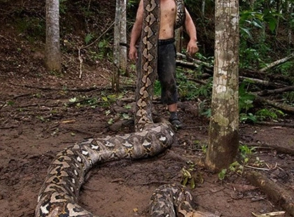 Знайдено найдовшу дику змію у світі