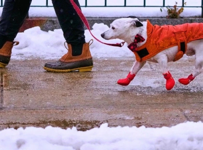 До України суне циклон з Балкан: синоптикиня попередила про небезпеку