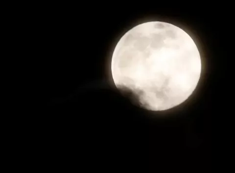 Повня 1 лютого відкриє вікно можливостей: удача посміхнеться п'ятірці знаків Зодіаку