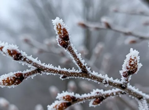 Погода в Україні різко зміниться: прогноз на 7-8 лютого
